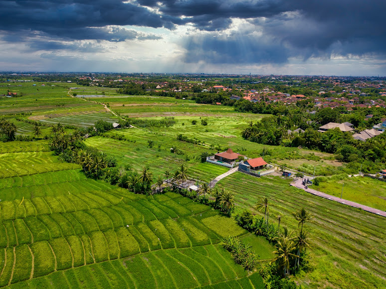 Peaceful coastal surroundings with future growth potential.