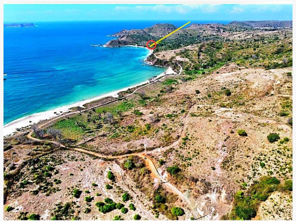 WhatsApp Image 2026-02-05 at 19.56.36