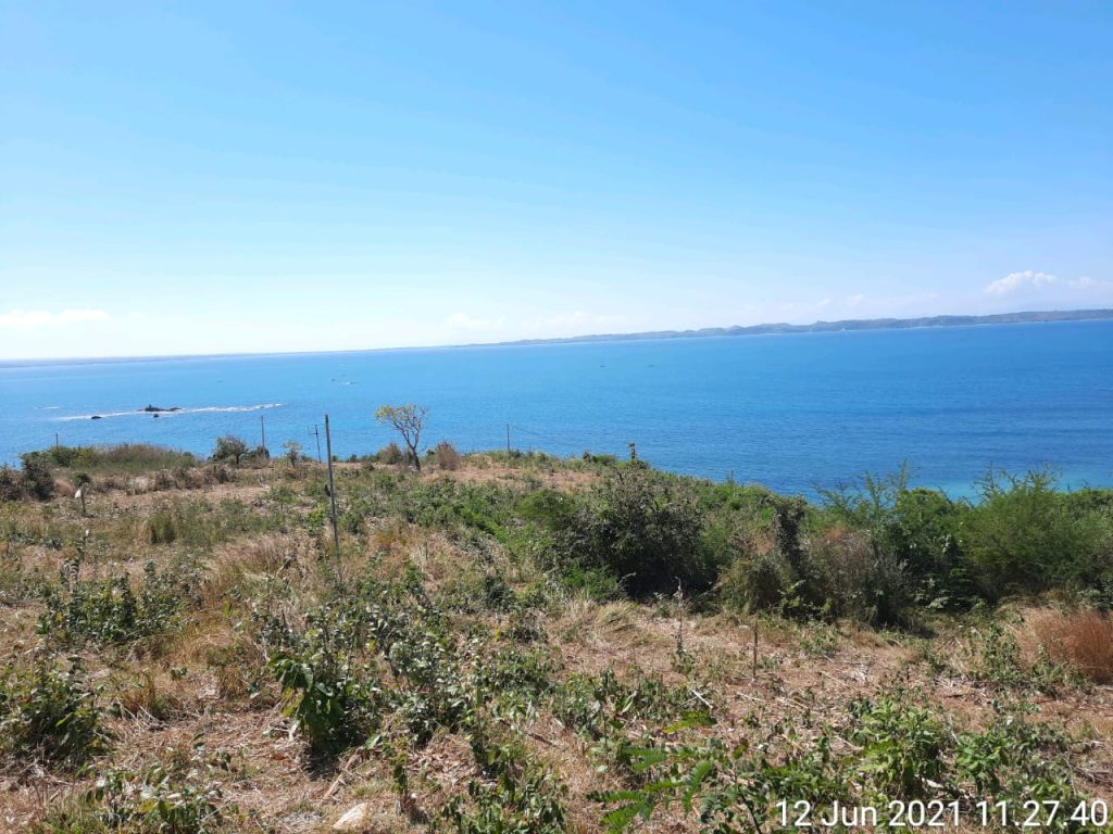 WhatsApp Image 2026-02-05 at 19.56.37 (1)