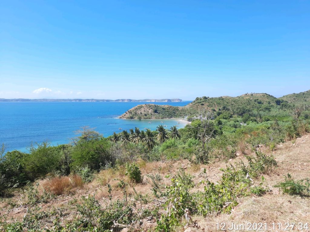 WhatsApp Image 2026-02-05 at 19.56.37 (2)