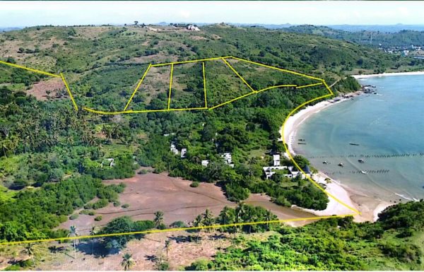 WhatsApp Image 2026-02-05 at 19.56.37 (3)